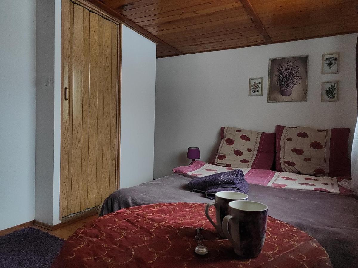 Home Stay Slotwinska Krynica-Zdrój Exterior foto